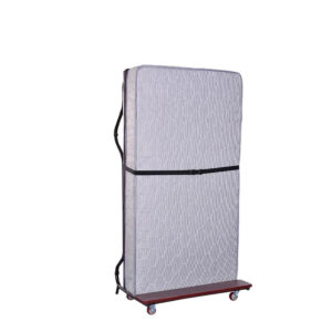 Spring Mattress Bed - 6 inches by Dolphy